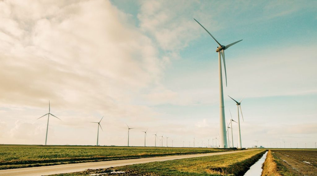 green-promises-harsh-reality-only-16%-of-European-companies-deliver-seref-dogan-erbek-1